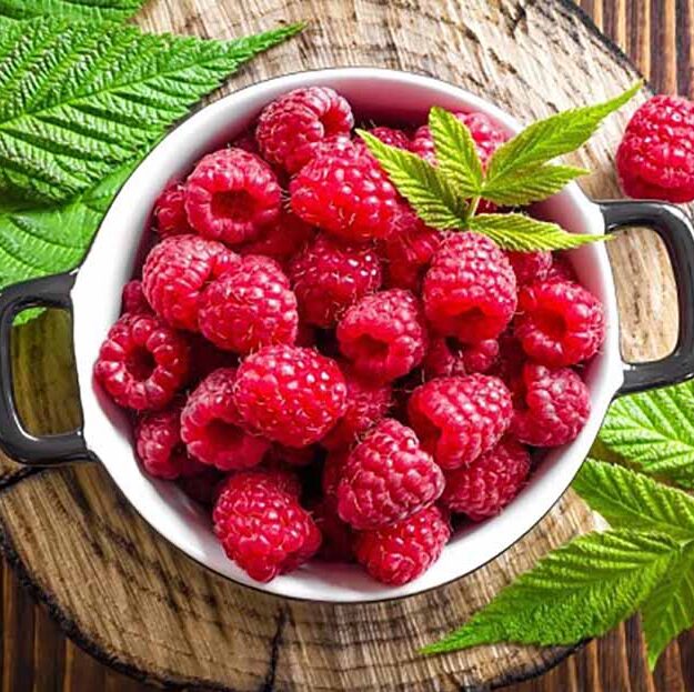 Continuumiihomecarellc