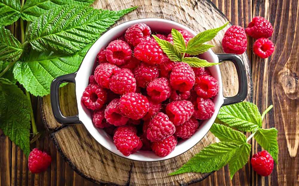 신선한 라즈베리로 알아보는 균형 잡힌 식생활의 기초